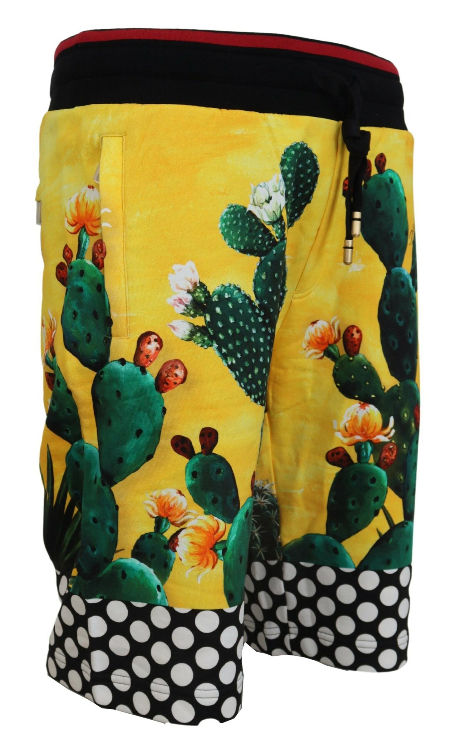 Dolce & Gabbana Multicolor Cactus Print Cotton Sweat Shorts