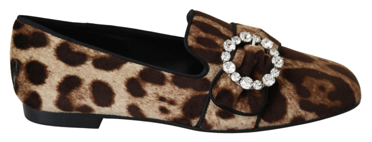 Dolce & Gabbana Leopard Print Crystal Embellished Loafers